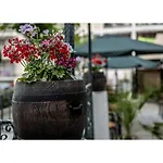 Golden Dune Hotel Slantchev Briag