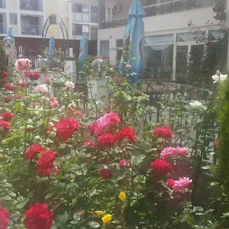 Golden Dune Hotel 4*