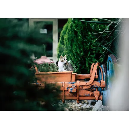 Golden Dune Hotel 4*