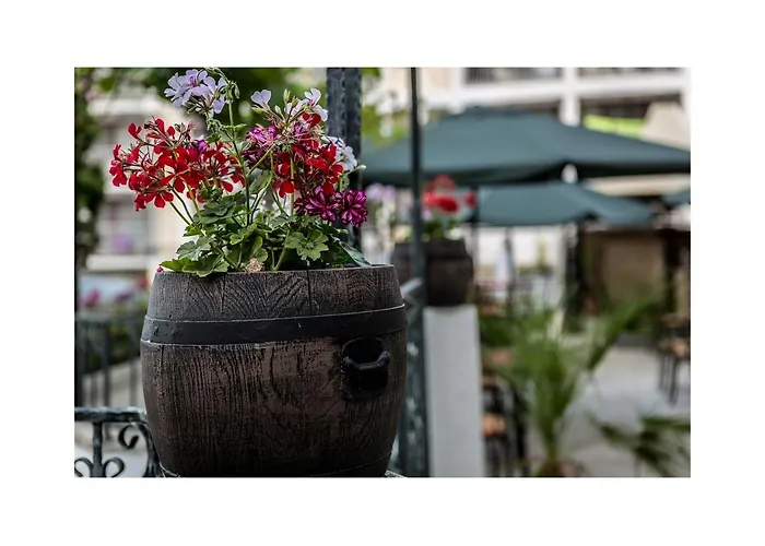 Golden Dune 호텔 써니비치