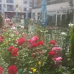Golden Dune Otel 4*