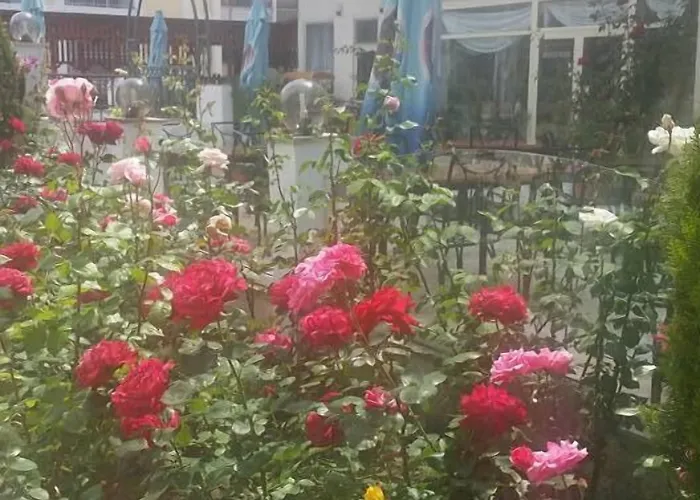 Golden Dune Hotel 4*