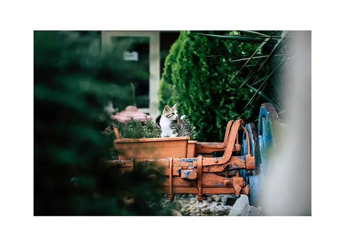 Golden Dune Hotel 4*